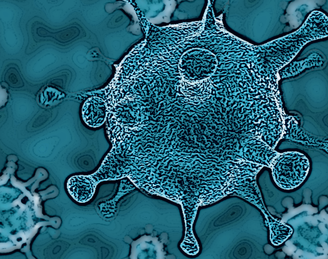 Testing for bacteria in drinking water