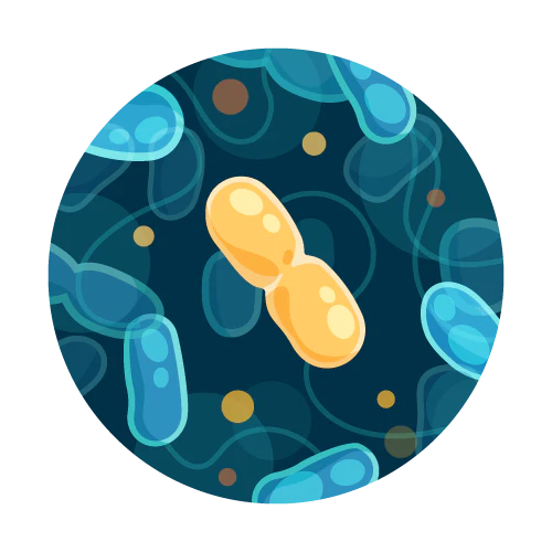 Image of Complementary TapScore Coliform and E coli Water Test by TapScore