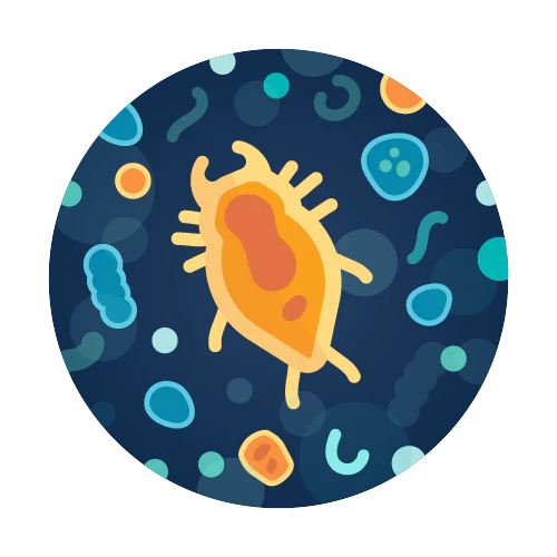 Image of Complementary TapScore Total Microbiology Water Test by TapScore