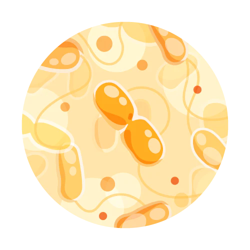 Image of Complementary TapScore Coliform and HPC Water Test by TapScore