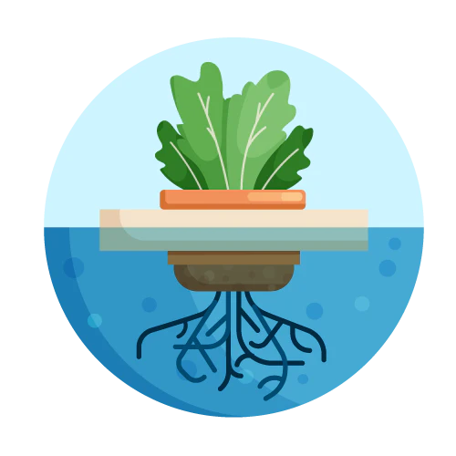 Image of Complementary TapScore Essential Hydroponics Water Test by TapScore