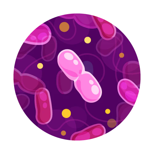 Image of Complementary TapScore Mycobacterium Water Test by TapScore