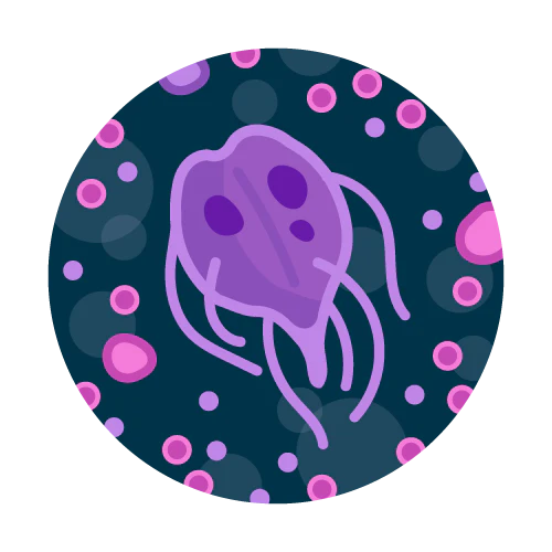 Image of Complementary TapScore Giardia and Crypto Water Test by TapScore
