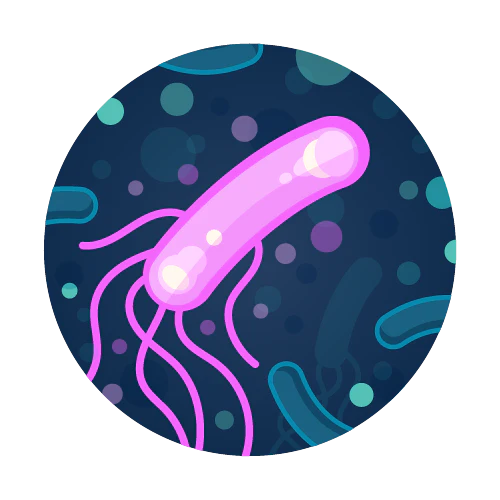 Image of Complementary TapScore Legionella Water Test by TapScore